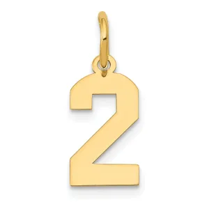 14k Yellow Gold Polished Finish Small Size Number 2 Charm Pendant