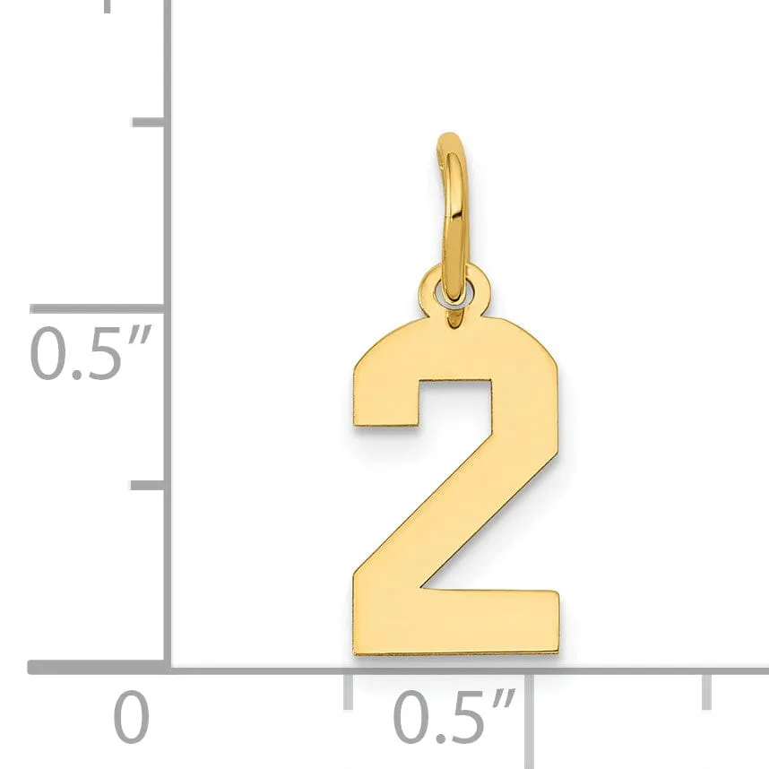 14k Yellow Gold Polished Finish Small Size Number 2 Charm Pendant