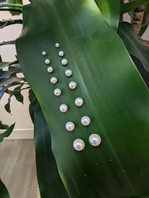 Akoya Pearl Studs