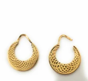 Charming nattiyan earrings