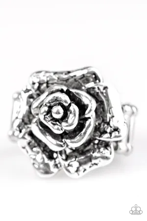 Paparazzi Ring ~ Garden Of Grandeur - Silver