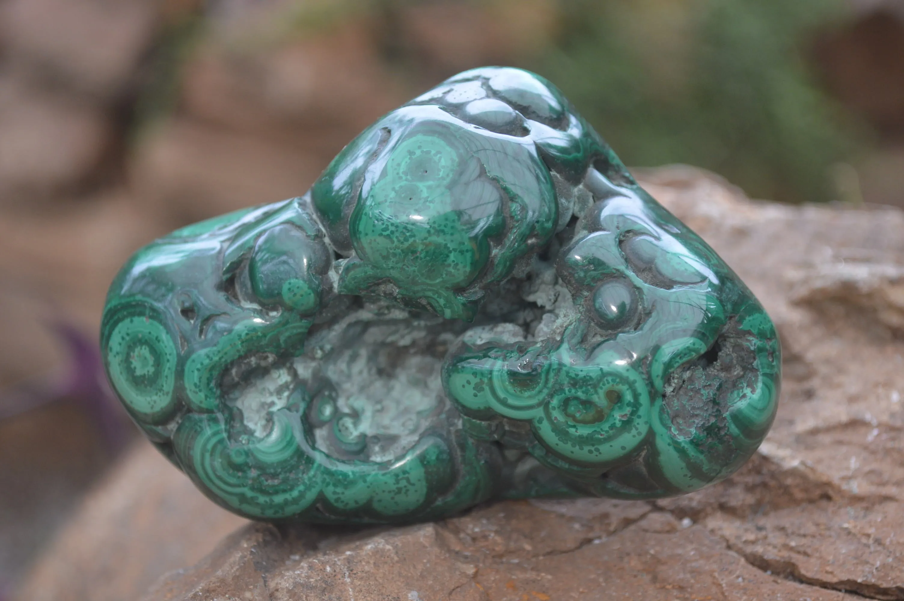 Polished Flower Banded Malachite Free Forms x 4 From Congo