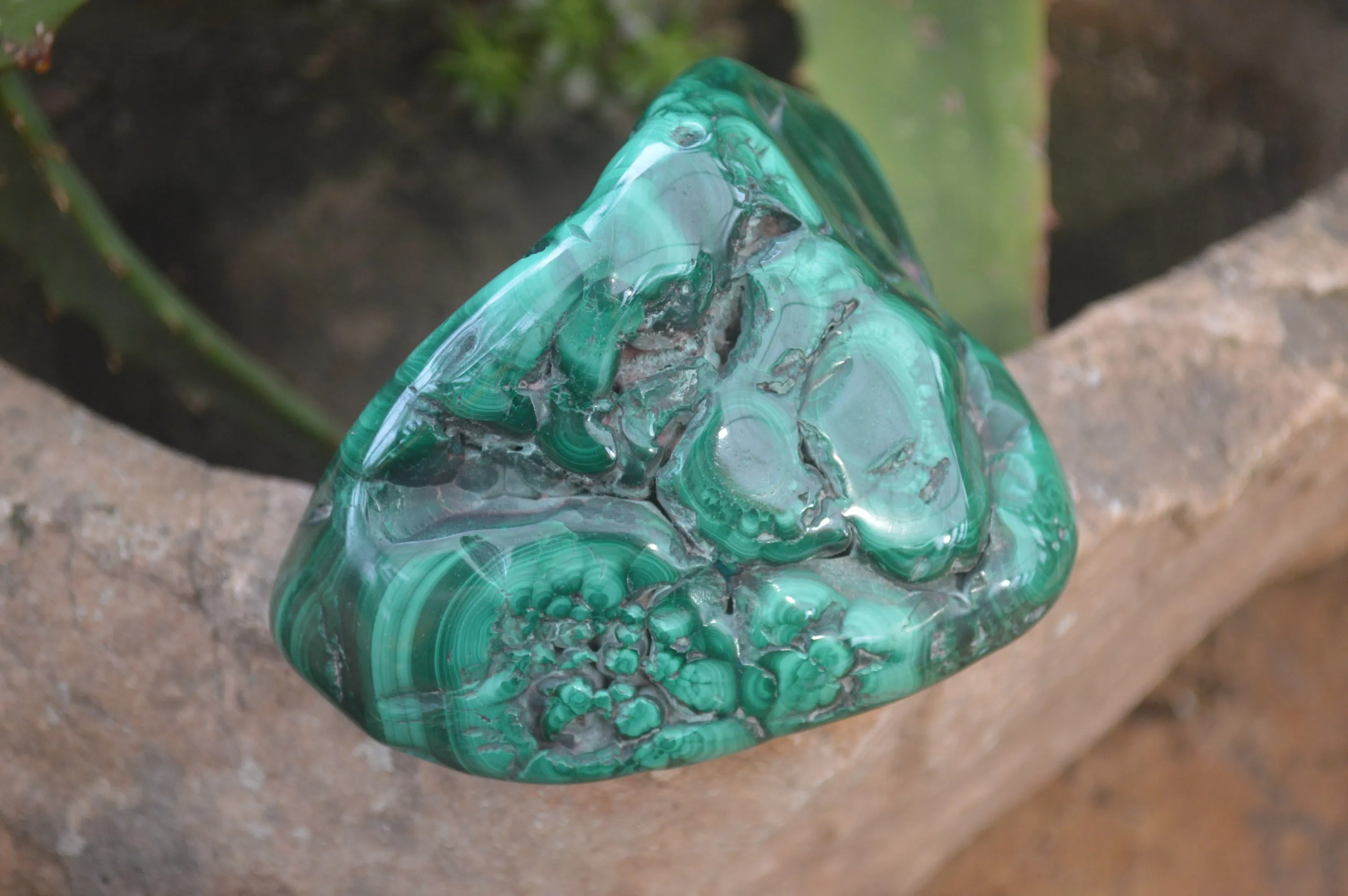 Polished Flower Banded Malachite Free Forms x 4 From Congo