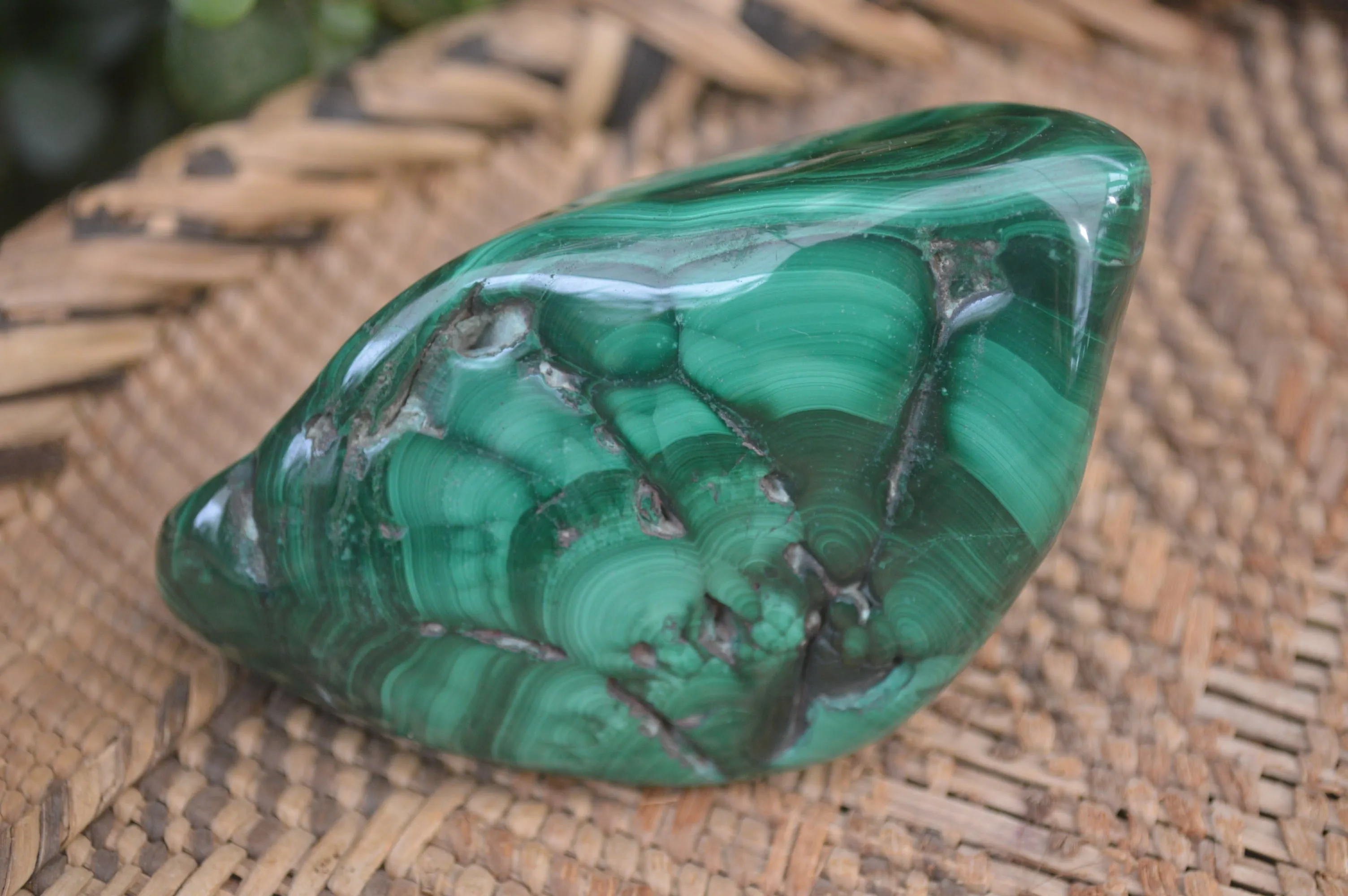 Polished Flower Banded Malachite Free Forms x 4 From Congo