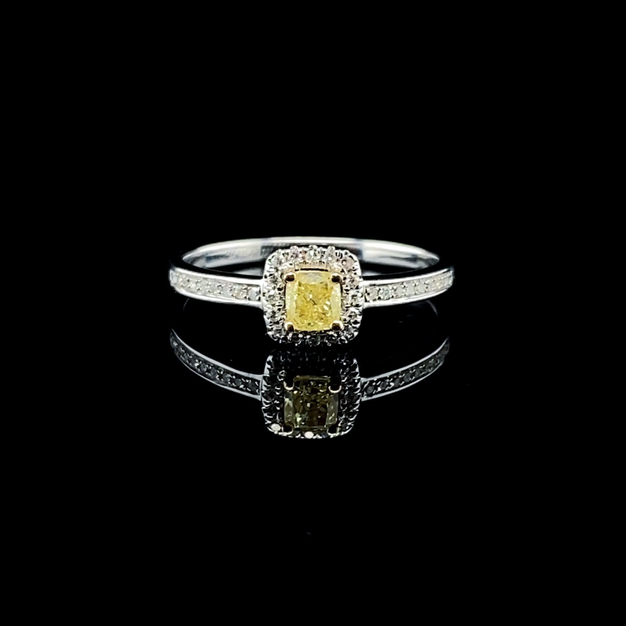 PREORDER | Yellow Twin Diamond Ring 14kt