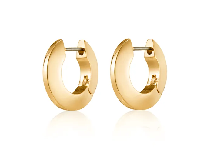 Toni Small Hinged Gold Hoop